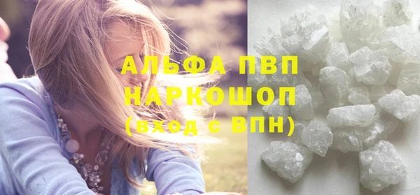 сатива Вязьма