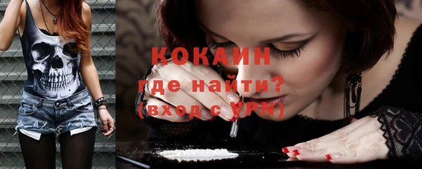 сатива Вязьма