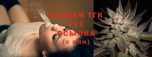 сатива Вязьма