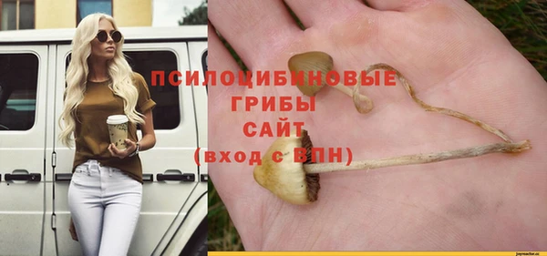 прущие грибы Струнино
