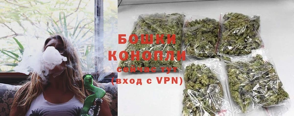 метадон Вяземский