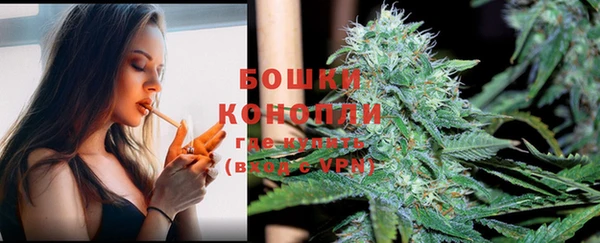 метадон Вяземский